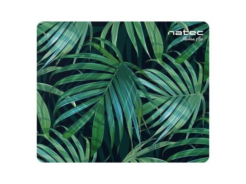 Podkładka pod mysz Foto Modern Art Palm Tree 220x180mm 10-Pack Podkładka pod mysz Foto Modern Art Palm Tree 220x180mm 10-Pack