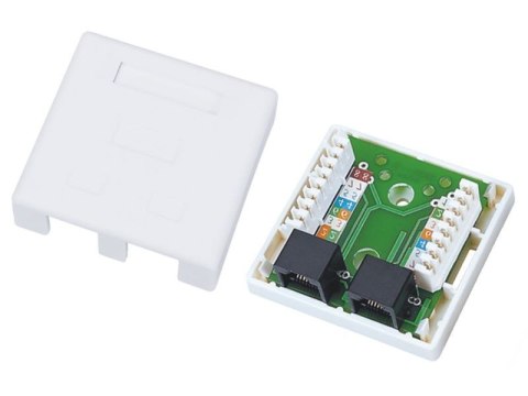 Gniazdo natynkowe UTP kat.5e 2xRJ45 Gniazdo natynkowe UTP kat.5e 2xRJ45