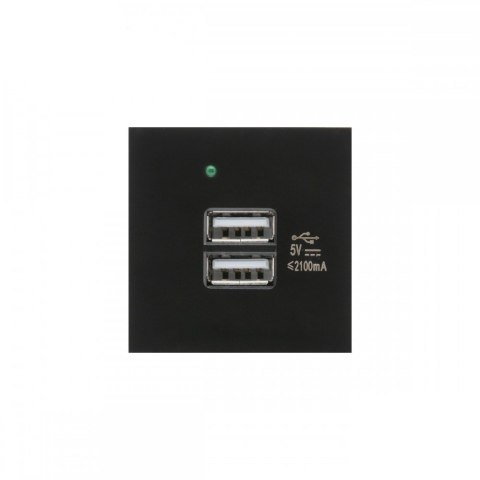 Gniazdo USB x2 z ładowarką pasuje do szklanych ramek MCE728B Czarne Gniazdo USB x2 z ładowarką pasuje do szklanych ramek MCE728B Czarne