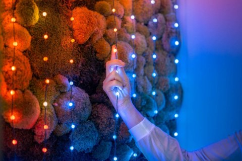 Inteligentne lampki dekoracyjne Strings USB-C (Candies) 200 LED RGB, perły, zielony przewód, 12 m