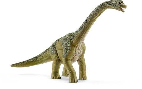 Brachisaurus Brachisaurus