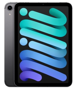 IPad mini Wi-Fi 64GB - Gwiezdna szarość