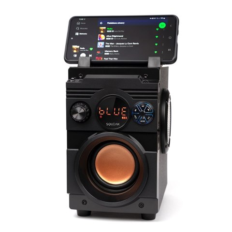SQUEAK GŁOŚNIK BASSBLASTER BLUETOOTH 5.1, RADIO FM, ODTWARZACZ MP3 SQ1001 SQUEAK GŁOŚNIK BASSBLASTER BLUETOOTH 5.1, RADIO FM, ODTWARZACZ MP3 SQ1001