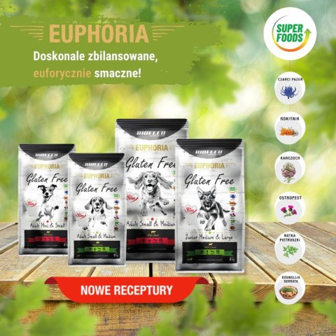BIOFEED Euphoria G-F psy SMALL&MID jagnięcina 2kg BIOFEED Euphoria G-F psy SMALL&MID jagnięcina 2kg