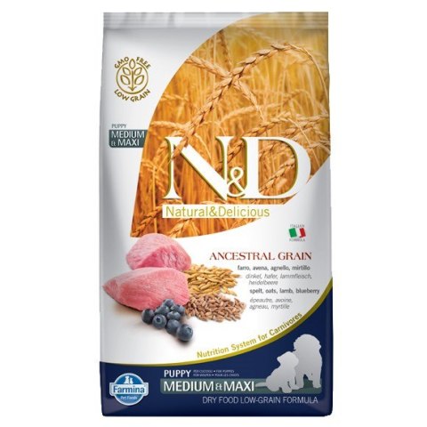 FARMINA N&D Ancestral Grain Lamb & Blueberry Puppy Medium & Maxi - sucha karma dla szczeniąt - 12kg FARMINA N&D Ancestral Grain Lamb & Blueberry Puppy Medium & Maxi - sucha karma dla szczeniąt - 12kg