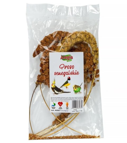 ALEGIA przysmak proso Senegalskie 80g ALEGIA przysmak proso Senegalskie 80g