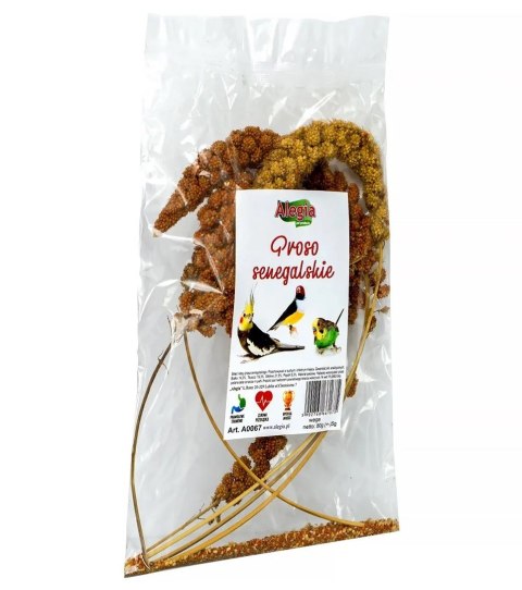 ALEGIA przysmak proso Senegalskie 80g ALEGIA przysmak proso Senegalskie 80g