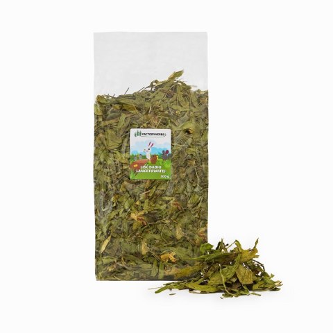 FACTORYHERBS Liść babki lancetowatej XL 300 g FACTORYHERBS Liść babki lancetowatej XL 300 g