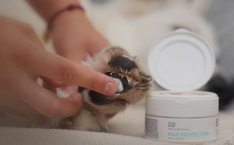 VetExpert Paw Protection - Pielęgnacja dla psów i kotów - 75ml VetExpert Paw Protection - Pielęgnacja dla psów i kotów - 75ml