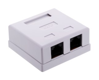 ALANTEC Gniazdo natynk UTP 2xRJ45 kat.6