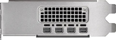 PNY NVIDIA 2000 Ada 16GB LowProfile, PCIe 4.0 x16, Dual Slot, 4x Mini DP 1.4a, 16 GB GDDR6 ECC 128-bit, HDCP 2.2, HDMI 2.0, smal PNY NVIDIA 2000 Ada 16GB LowProfile, PCIe 4.0 x16, Dual Slot, 4x Mini DP 1.4a, 16 GB GDDR6 ECC 128-bit, HDCP 2.2, HDMI 2.0, smal