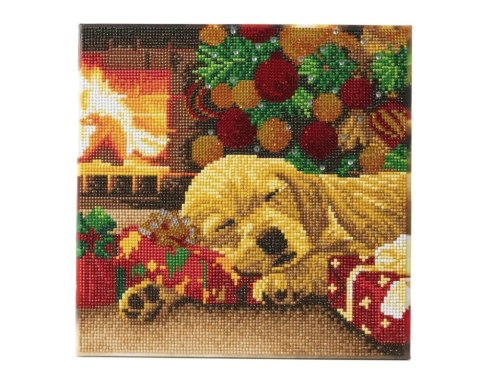 Obraz Crystal Art Pies Śpiący Labrador Obraz Crystal Art Pies Śpiący Labrador