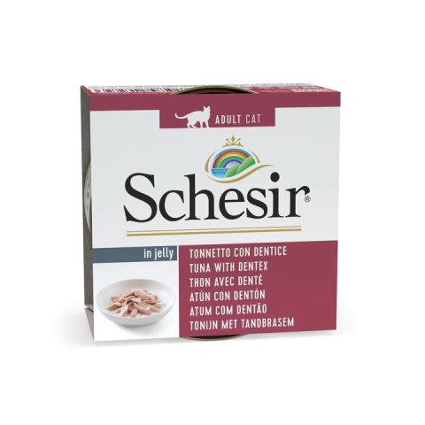 SCHESIR dla kotów Oceanic Adult w Galarecie Tuńczyk z Dentykiem 85g SCHESIR dla kotów Oceanic Adult w Galarecie Tuńczyk z Dentykiem 85g