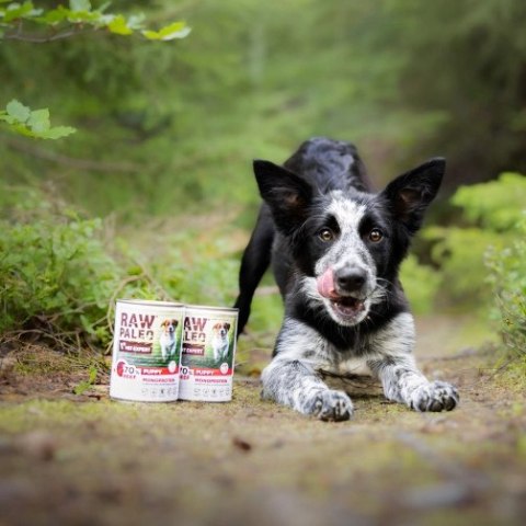 VetExpert Raw Paleo Wołowina Puppy Can 400g VetExpert Raw Paleo Wołowina Puppy Can 400g