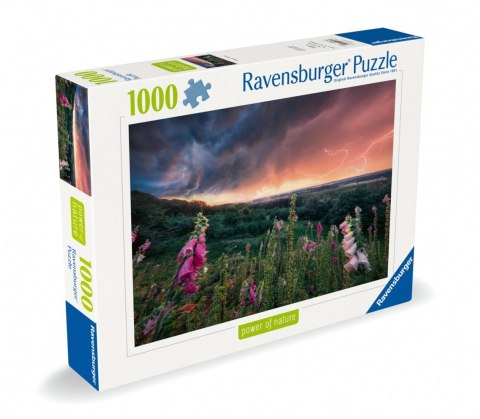Puzzle 1000 elementów Nadchodzi burza Puzzle 1000 elementów Nadchodzi burza