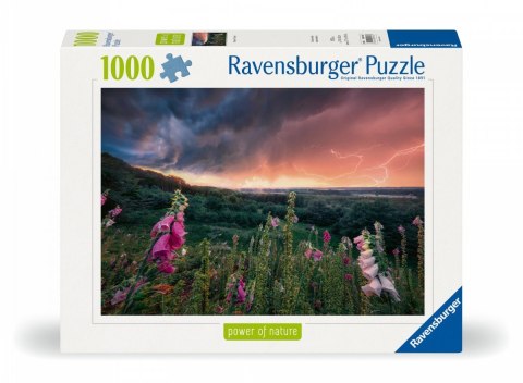 Puzzle 1000 elementów Nadchodzi burza Puzzle 1000 elementów Nadchodzi burza