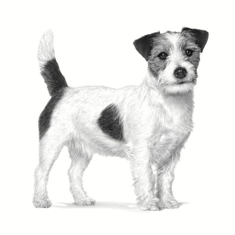 ROYAL CANIN VHN Dog Anallergenic Small 3kg ROYAL CANIN VHN Dog Anallergenic Small 3kg