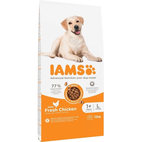 IAMS Vitality Adult Large - sucha karma dla psa - 12 kg IAMS Vitality Adult Large - sucha karma dla psa - 12 kg