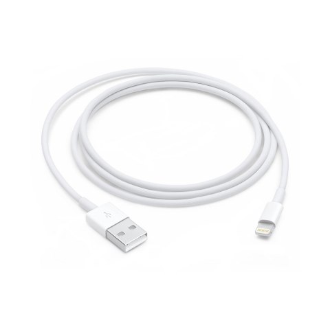 Apple Lightning to USB Cable (1m) Apple Lightning to USB Cable (1m)