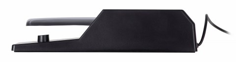 M-AUDIO SP-2 Piano Sustain Pedal M-AUDIO SP-2 Piano Sustain Pedal