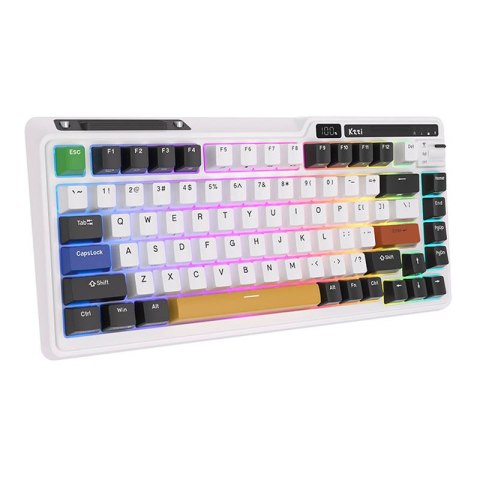 Bezprzewodowa klawiatura mechaniczna Royal Kludge KZZI K75 pro RGB, Eternity Switch (czarno-biała) Bezprzewodowa klawiatura mechaniczna Royal Kludge KZZI K75 pro RGB, Eternity Switch (czarno-biała)