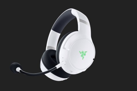 Razer Kaira Pro Headset Razer Kaira Pro Headset