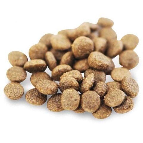 Fish4Dogs Superior Senior z łososiem (S) 1,5kg Fish4Dogs Superior Senior z łososiem (S) 1,5kg