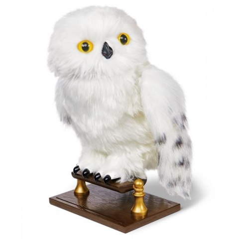 Interaktywna Hedwiga Interaktywna Hedwiga