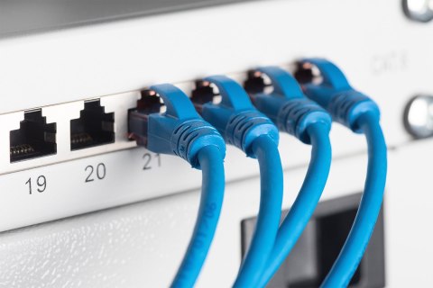 Digitus Panel krosowy (patch panel) 19'' 24x RJ45, LSA poziom, kat.6, ekranowany, 1U, szary, prowadnica kabli